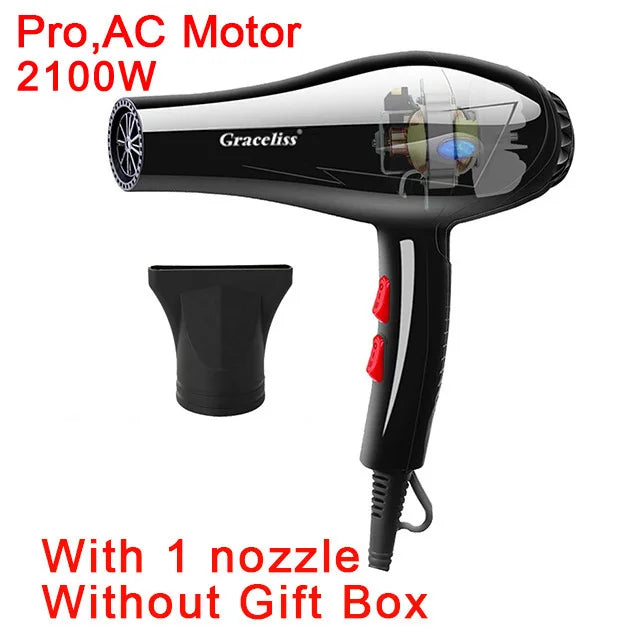 Professional Hair Dryer