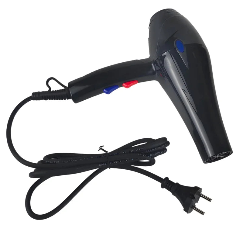 Professional Hair Dryer