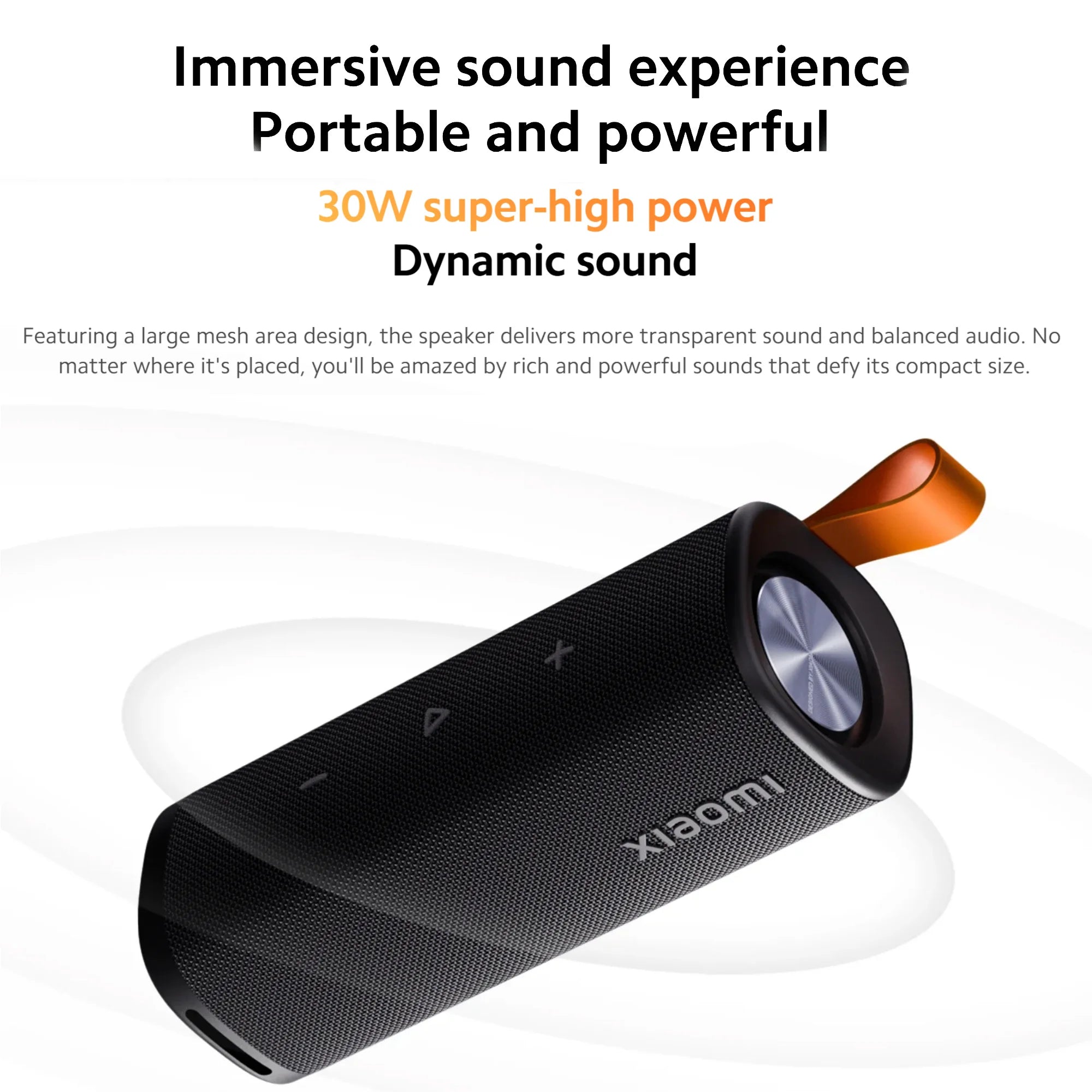 S29H Portable Bluetooth speaker