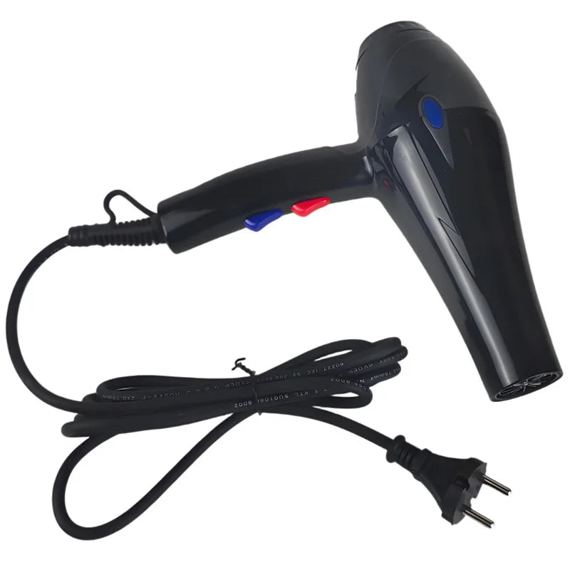 Professional Hair Dryer