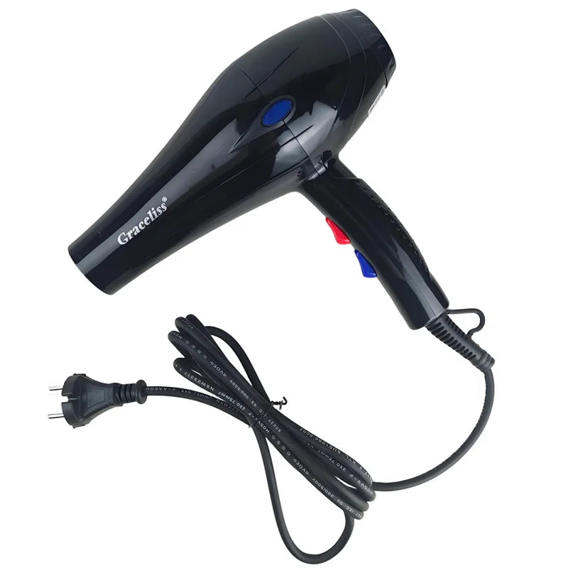 Professional Hair Dryer