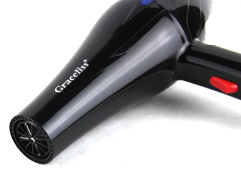 Professional Hair Dryer
